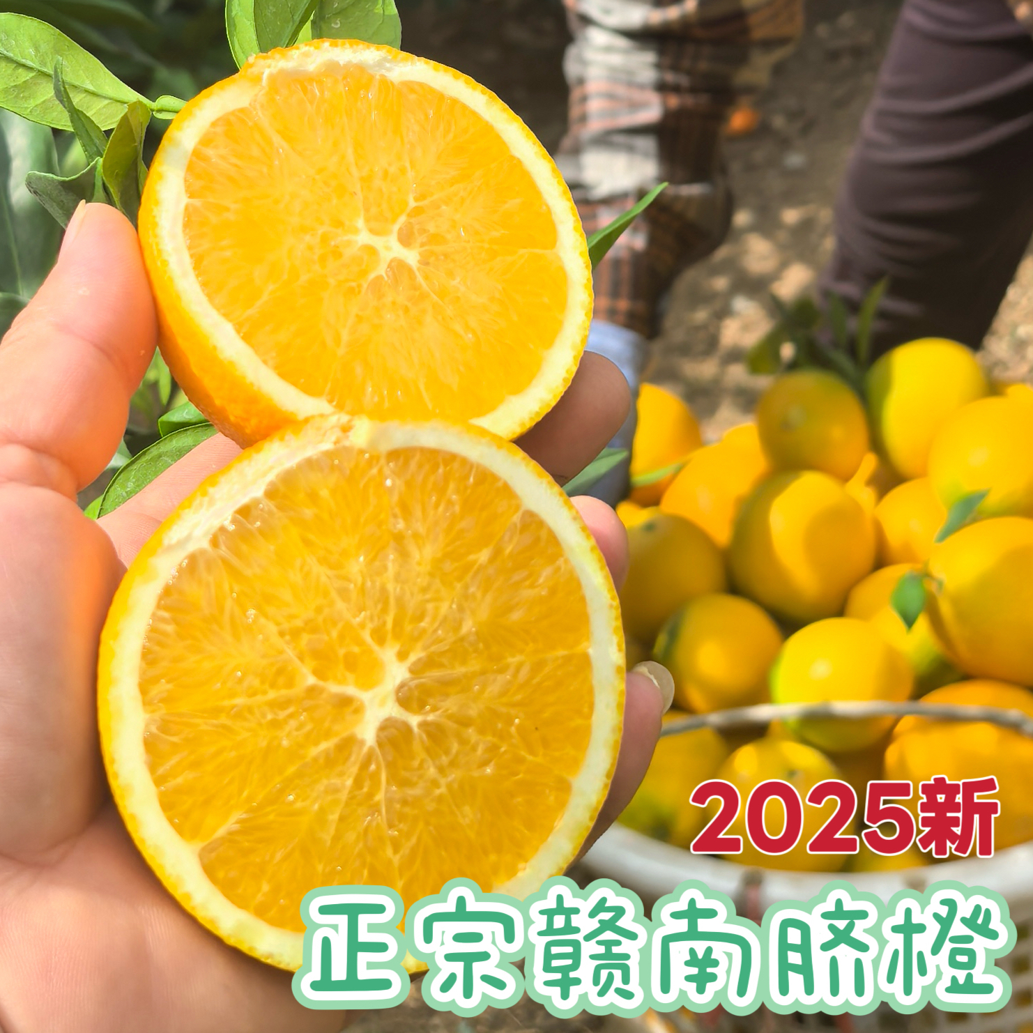 2025年新摘正宗赣南脐橙当季寻乌新鲜橙子甜橙纽贺尔脐橙整箱10斤