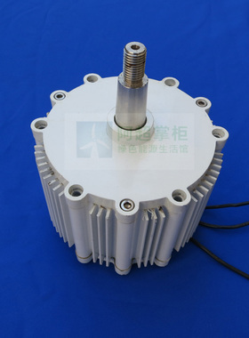 50W100W300W400W600W1KW小型永磁风力电机单独电机教学科研12V24V