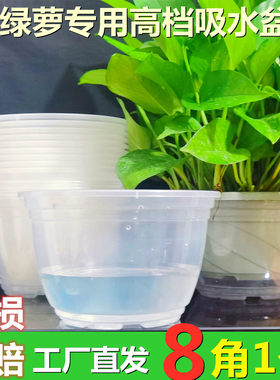 懒人花盆塑料简约植物水培