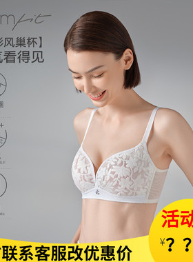 安莉芳Comfit无钢圈大胸显小内衣女超薄款风巢杯透气文胸CBW0195