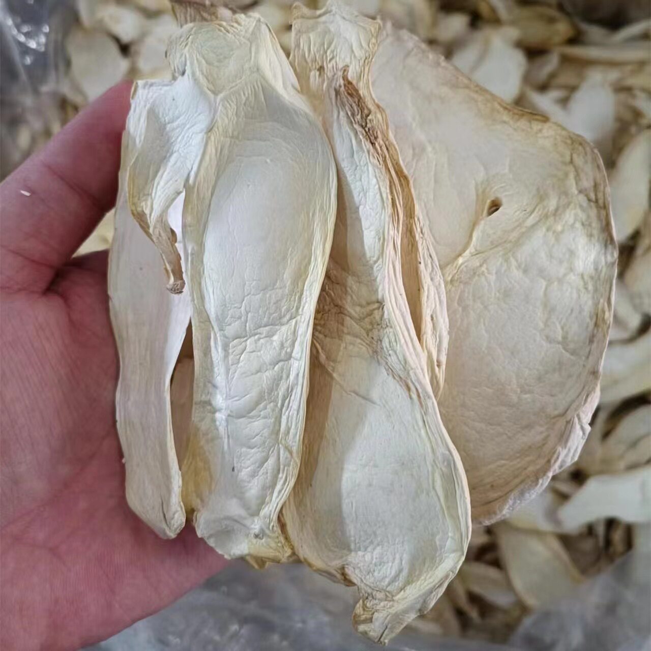 土特产250g食用菌平菇包邮