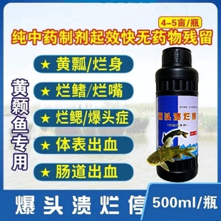 黄颡鱼专用爆头溃烂灵水产鱼药裂头烂身抗应激出血肠炎体表出血