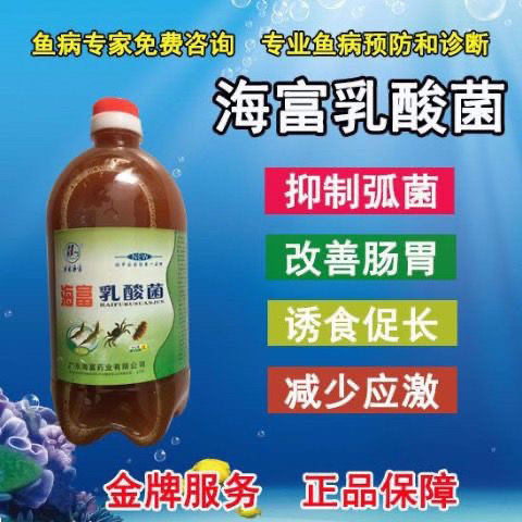 海富乳酸菌水产养殖专用鱼虾蟹塘用乳酸菌种调节水质改善肠道拌料