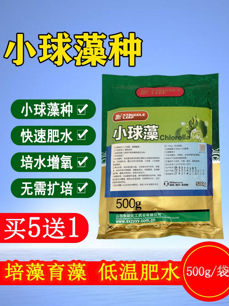 肥水培藻鱼池蛋白核小球藻种源复合硅藻种冻干粉鱼虾蟹塘冬季低温
