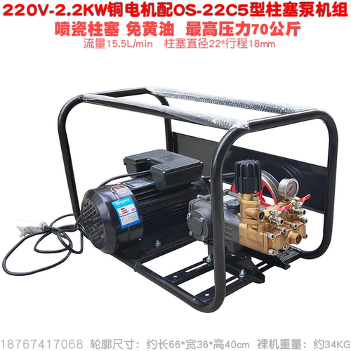 耐高压打药喷雾洗车器电机柱塞泵
