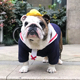 网红水手服宠物衣服抖音潮牌英国斗牛犬法斗恶霸犬巴哥胖狗狗夏季