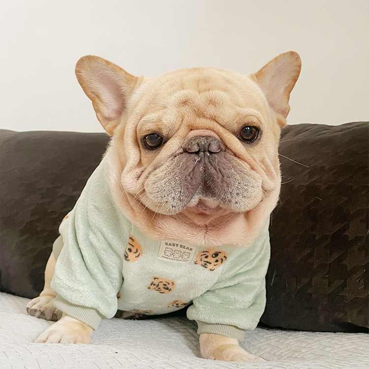 四色家居服法兰英法斗泰迪恶霸犬巴哥西高地胖狗卫衣服可爱透气冬
