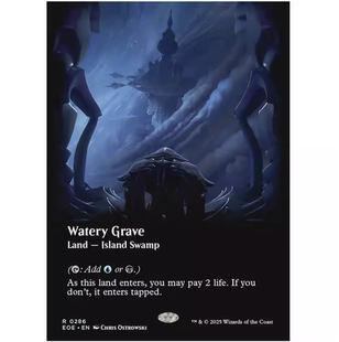 【铃铛卡牌】万智牌 英文 虚空边域 EOE 平/闪 异画 积水墓地 286