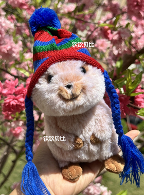 日本正版sunlemon短尾袋鼠矮袋鼠Quokka毛绒玩具公仔礼物可爱玩偶