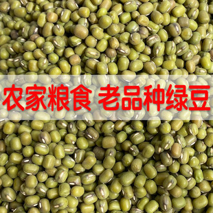 农家自种 老品种绿豆