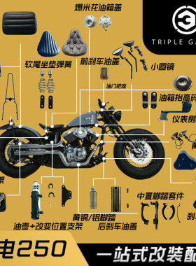 雷电250全系通用配件复古升级