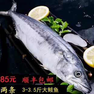 新鲜海捕马鲛鱼鲅鱼3-3.5斤冷冻水产水饺丸子馅大鲅鱼整条礼盒装