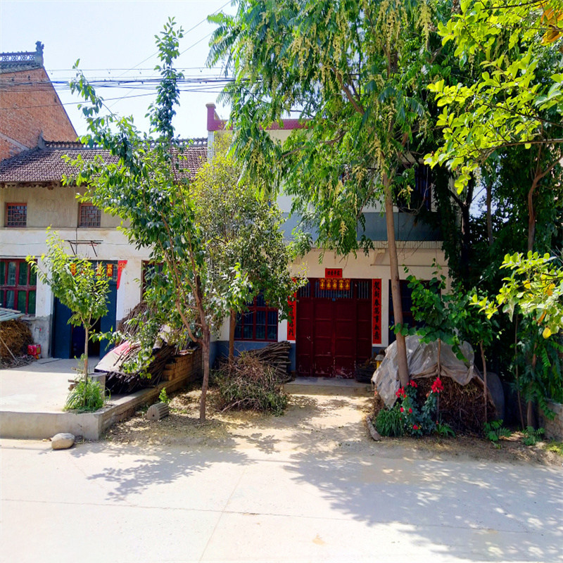 乡下小道唱歌跳舞土房砖房直播背景布乡村外景复古怀旧装饰背景布