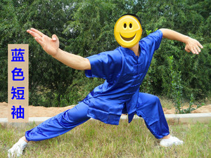 爆款宝蓝色短袖太极服夏装武术服表演服男女儿童成人演出服练功服