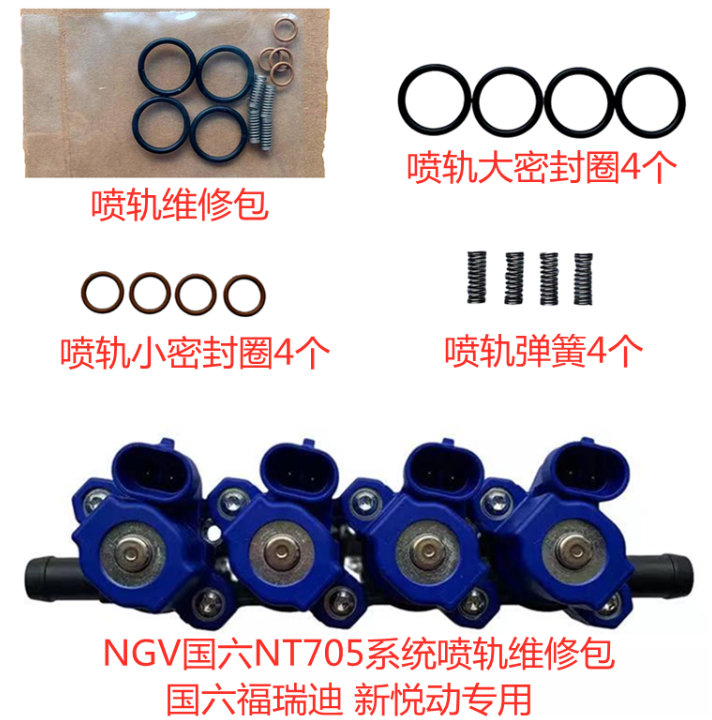 nt401 601 603 NT705喷轨OMVL爱丽舍NGV伊兰特悦动福瑞迪修理包