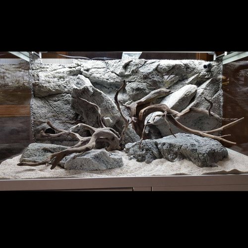 瑞典BTN河岩3D水族背景板造景