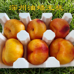 深州油蟠桃黄金油蟠桃彩虹油蟠桃新鲜当季现摘香甜多汁无毛大蟠桃