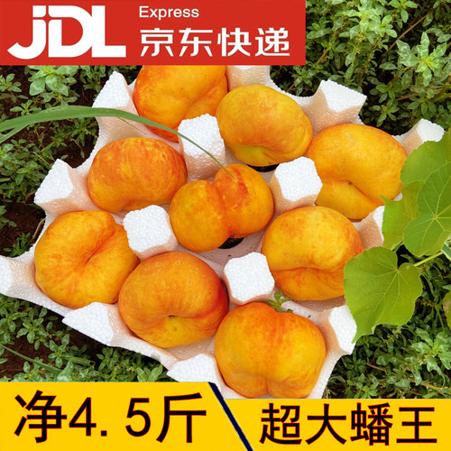 京东上门油蟠桃彩虹蟠桃河北深州桃新鲜时令孕妇宝宝吃无毛扁桃子