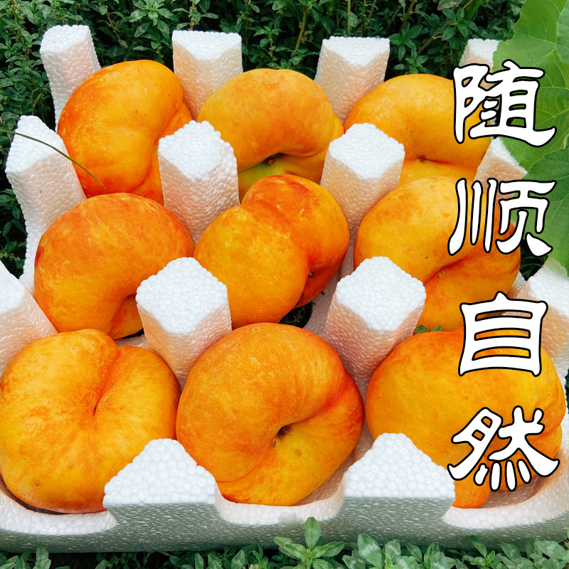 油蟠桃黄蟠桃彩虹蟠桃河北深州桃新鲜时令整箱孕妇宝宝无毛扁桃子