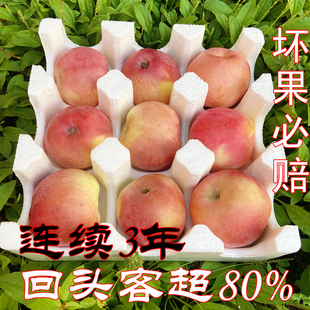 北海道苹果水果纯甜酥软新鲜应季 不费牙丑甜苹果 宝宝孕妇老人吃