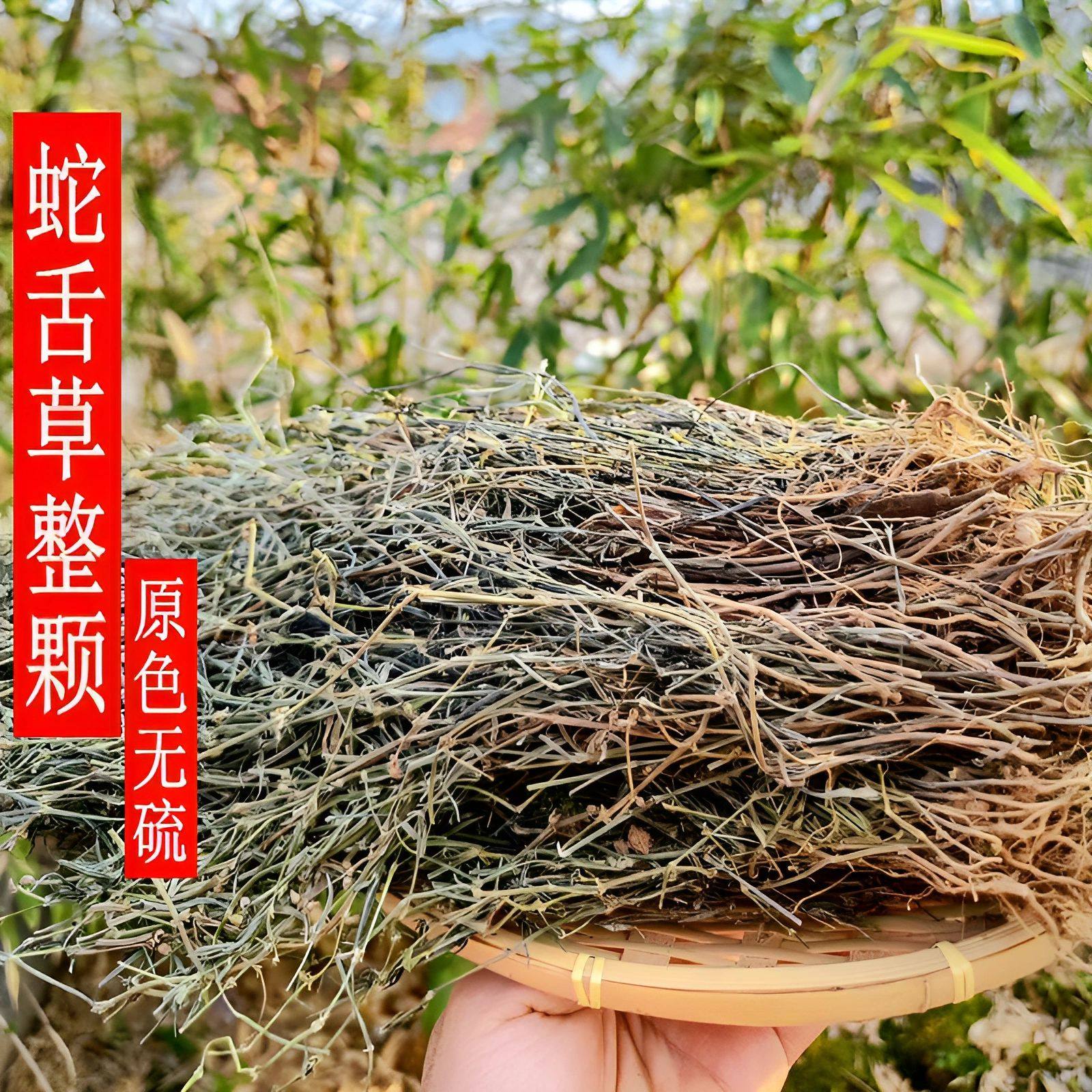 福建正宗野生蛇舌草中药材白花蛇舌草干货泡水泡茶250克起包邮,传统滋补营养品,其他药食同源食品,淘宝优惠券,粉丝福利购,淘宝优惠卷