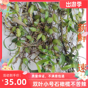 小号双叶石橄榄新鲜包邮炖汤草药煲汤配料石仙桃种植500g食用药材