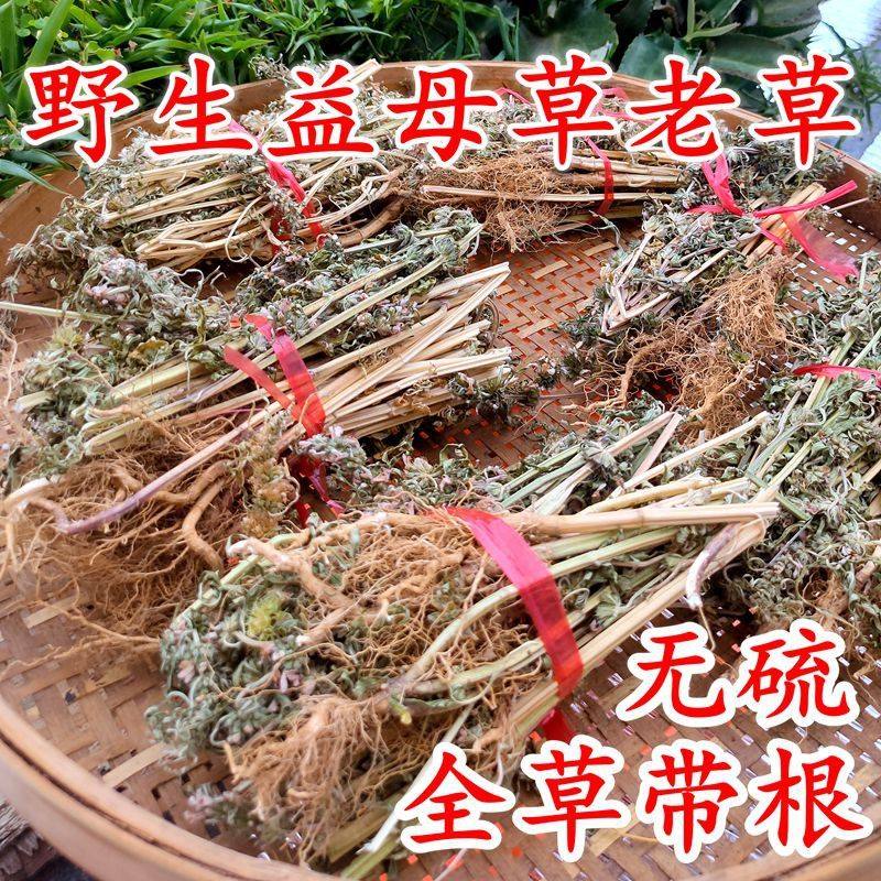 野生益母草新晒干整颗带根调气血月经姨妈泡茶煮水药材500g包邮,传统滋补营养品,其他药食同源食品,淘宝优惠券,粉丝福利购,淘宝优惠卷