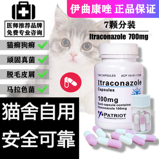 伊曲康唑猫癣狗藓皮肤病抗真菌感染口服胶囊宠物脱毛皮屑马拉色菌