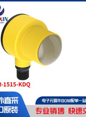T30R-1515-KDQ 传感器，变送器 专用传感器