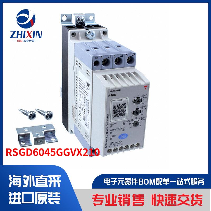 RSGD6045GGVX210 马达、螺线管、驱动板／模组