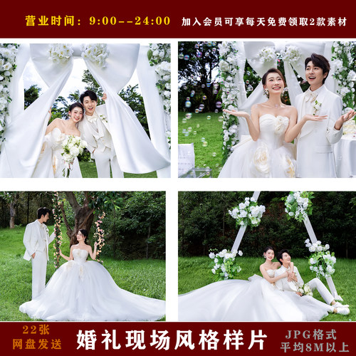 B2603蝴蝶结婚礼现场22张样片婚礼风格婚纱照做相框接单婚纱照