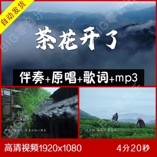 茶花开了 MV版 伴奏原唱视频
