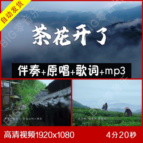 茶花开了 MV版 伴奏原唱视频
