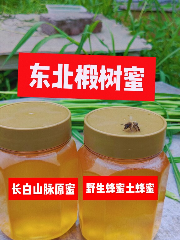 野生土蜂蜜长白山椴树蜜自产自销农家土蜂蜜东北椴树蜜