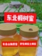 野生土蜂蜜长白山椴树蜜自产自销农家土蜂蜜东北椴树蜜