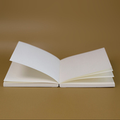 A6A5锁线记事本日记本本芯8mm横线宽间距空白书衣本芯本子