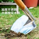 berryBird园艺不锈钢锄头实木手柄户外花园挖掘除草种植2024新品