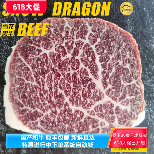 雪龙牛肉4斤烤肉涮锅铁板烧生食