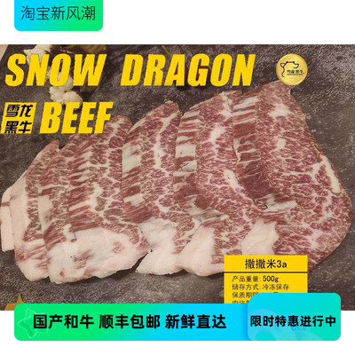 雪龙牛肉 撒撒米3a 500g烤肉生牛肉生鲜雪花霜降儿童牛排包邮