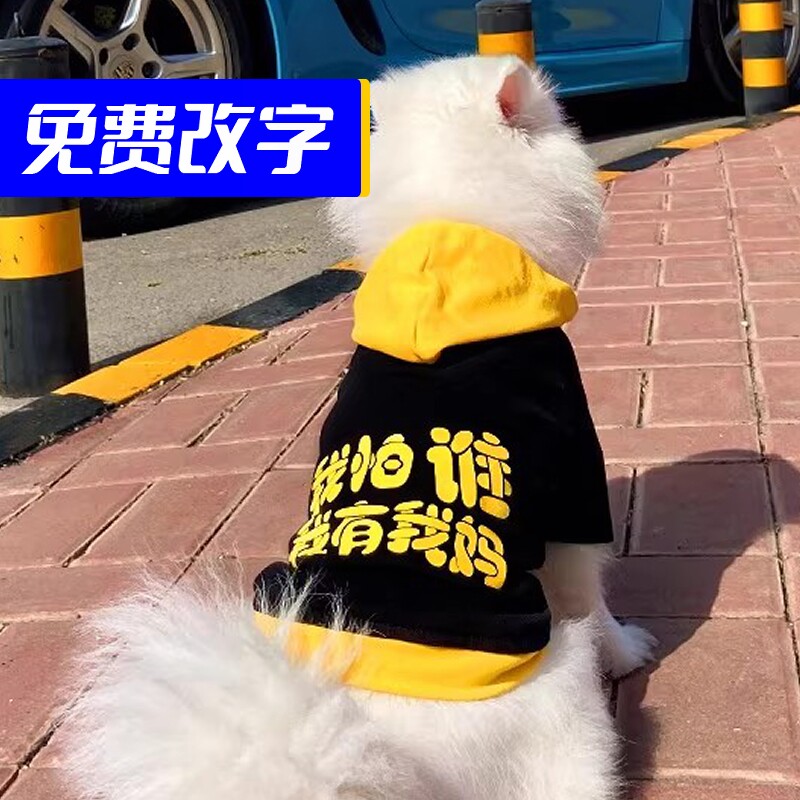 狗狗衣服泰迪宠物服装小狗博美