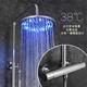 LED带灯发光淋雨花洒喷头淋浴器双功能恒温带升降杆 洛斯创意欧式