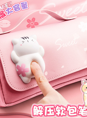 网红解压笔袋ins日系女孩小学生初中大容量多功能新款流行文具盒可爱少女心铅笔盒双层帆布笔盒文具袋高颜值