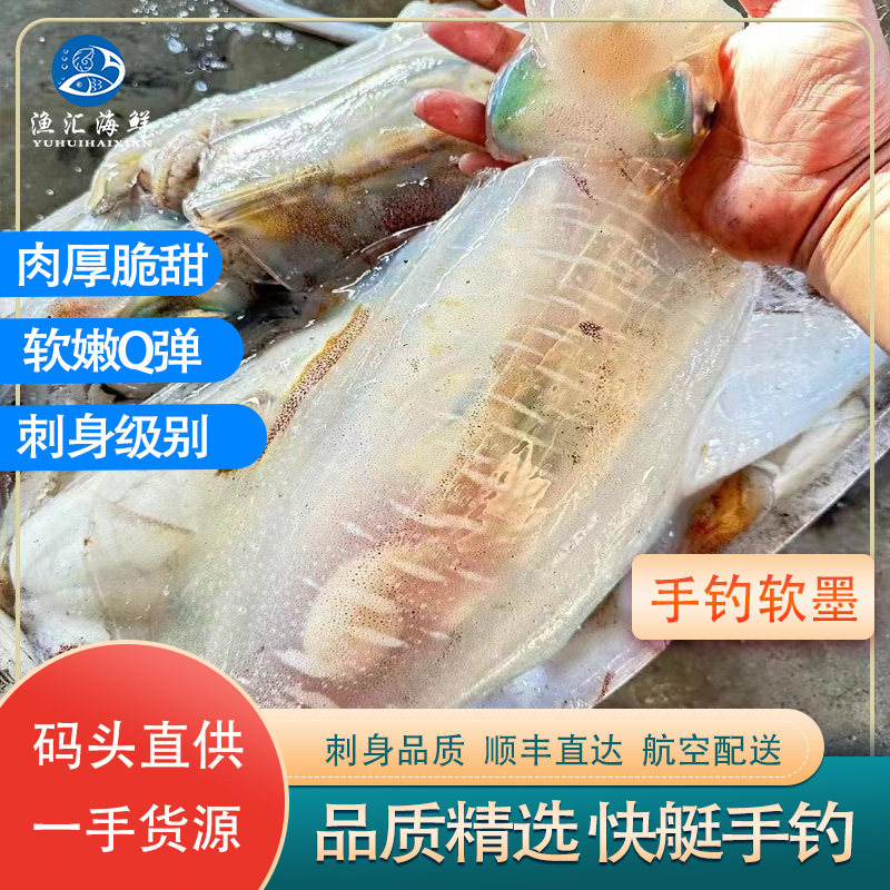 东山岛本港海鲜大尾鱿鱼软时刺身莱式拟乌贼井瓶枪乌贼软丝软墨