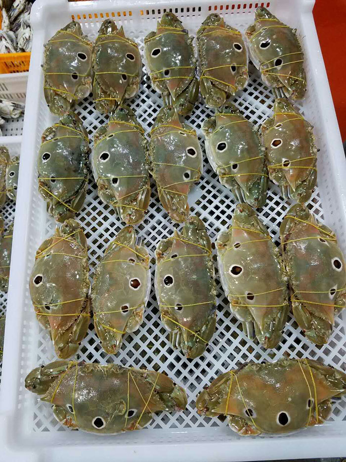红膏三点蟹全部有膏 鲜活水产三目蟹 三眼蟹 三点蟹野生螃蟹