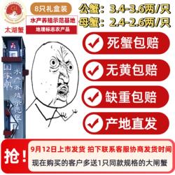 【活蟹】苏州太湖大闸蟹生态养殖公3.5两母2.5两共8只礼盒装螃蟹
