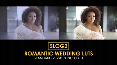 浪漫婚礼和标准LUT支持PR、AE、FCPX,达芬奇等软件