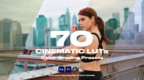 70个电影 LUT支持PR、AE、FCPX,达芬奇等软件