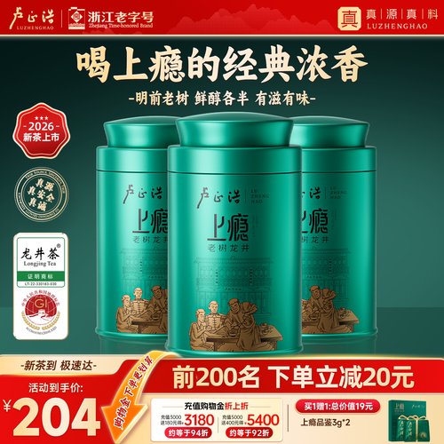 卢正浩明前群体种老茶树龙井茶