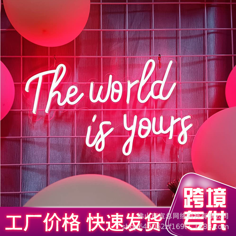 The World is Yours霓虹灯 LED发光气氛围节日派对礼物外贸亚马逊