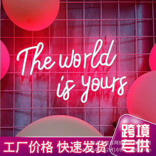 The Yours霓虹灯 LED发光气氛围节日派对礼物外贸亚马逊 World